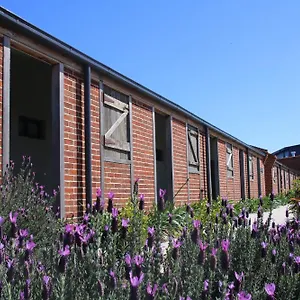 Resort Dusty Hill Vineyard -